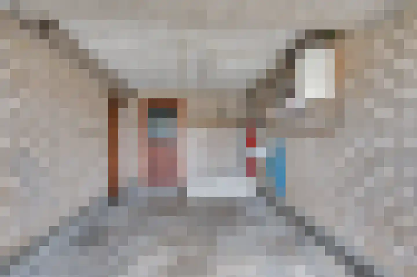 Straelseweg 640 Venlo thumbnail 38