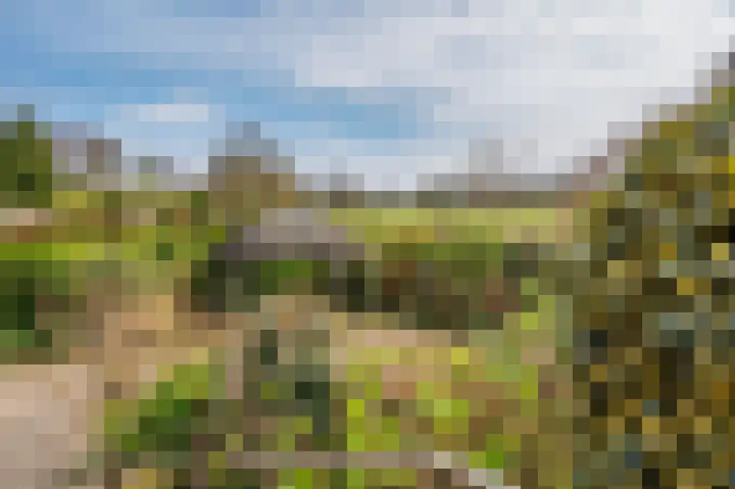 Straelseweg 640 Venlo thumbnail 42