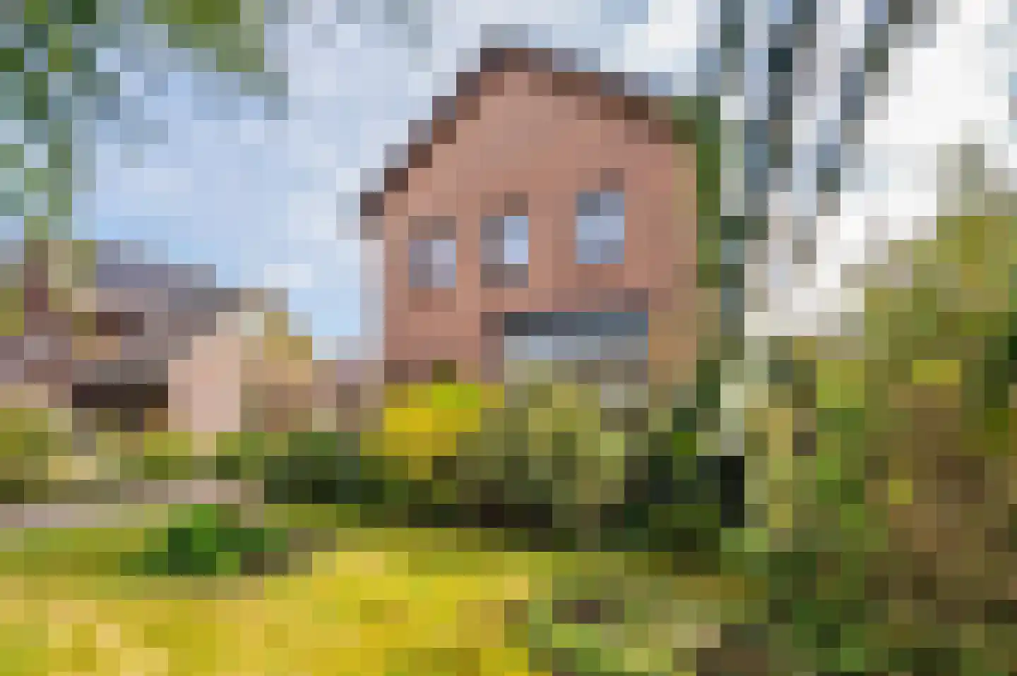 Straelseweg 640 Venlo thumbnail 51