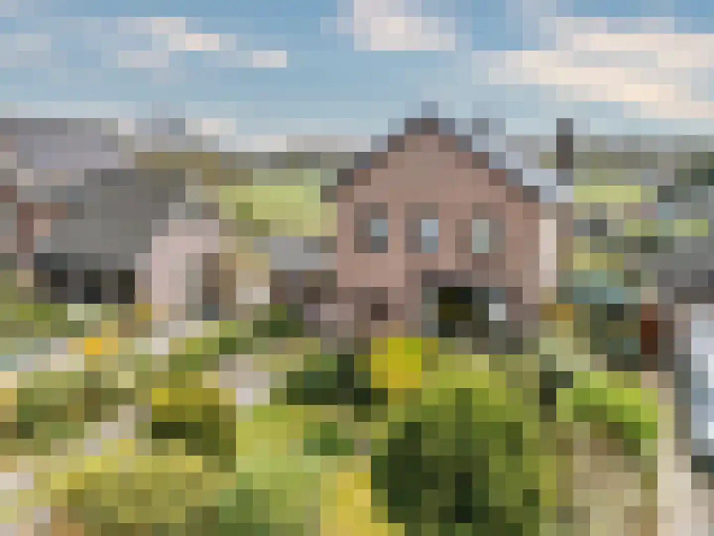 Straelseweg 640 Venlo thumbnail 55