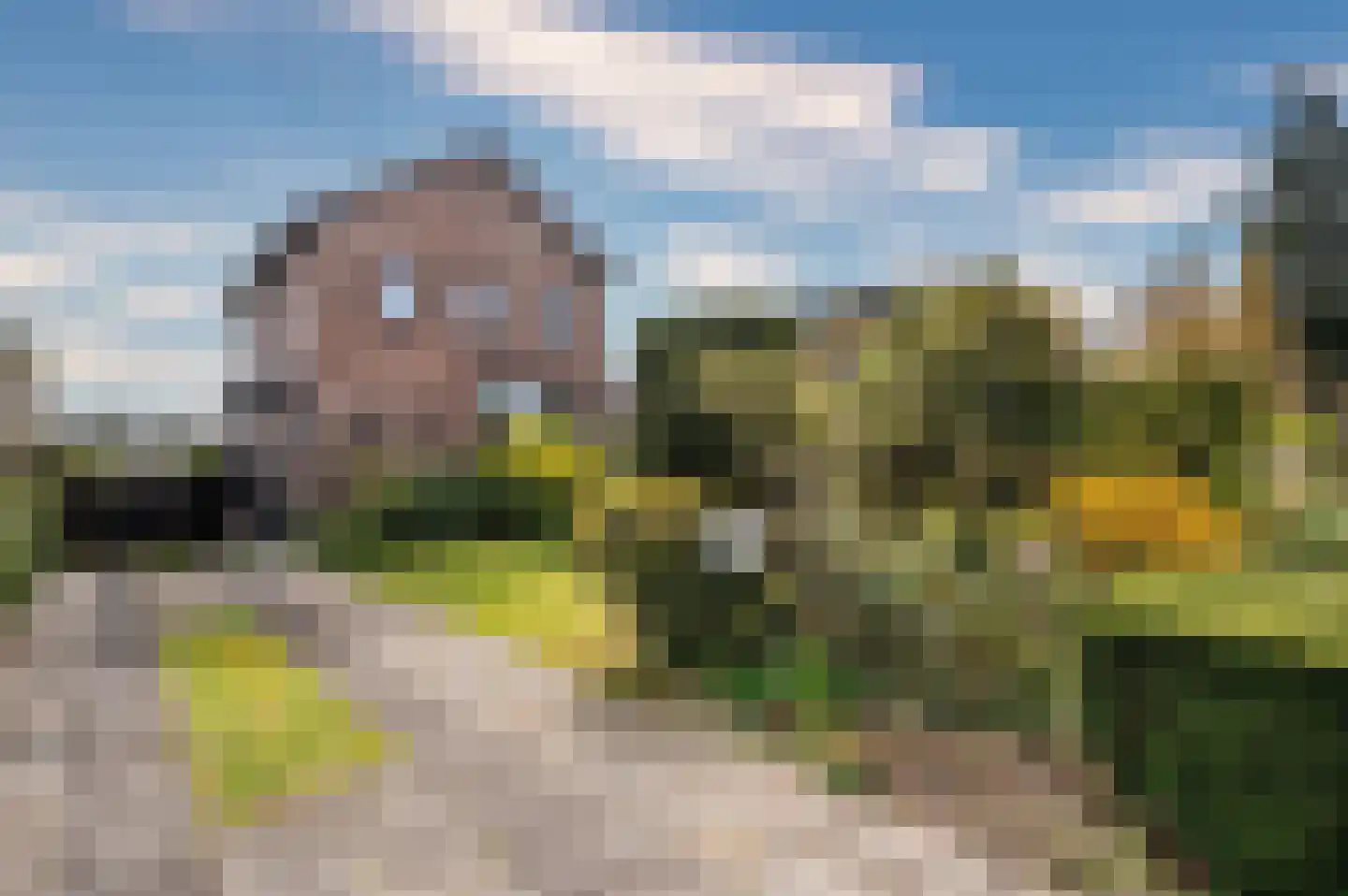 Straelseweg 640 Venlo thumbnail 56