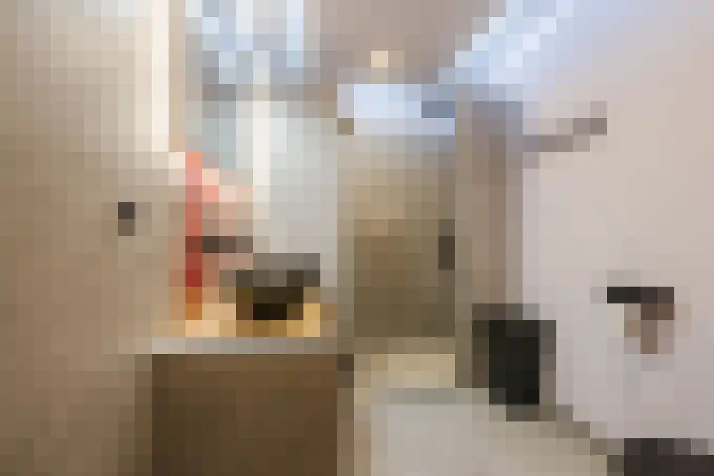 Stralsundstraat 13 Zwolle thumbnail 33
