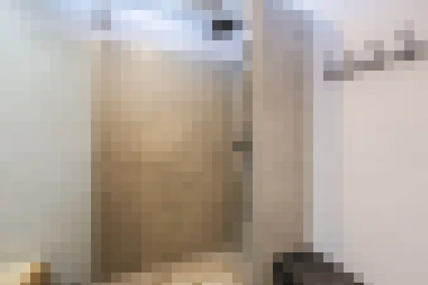 Stralsundstraat 13 Zwolle thumbnail 35