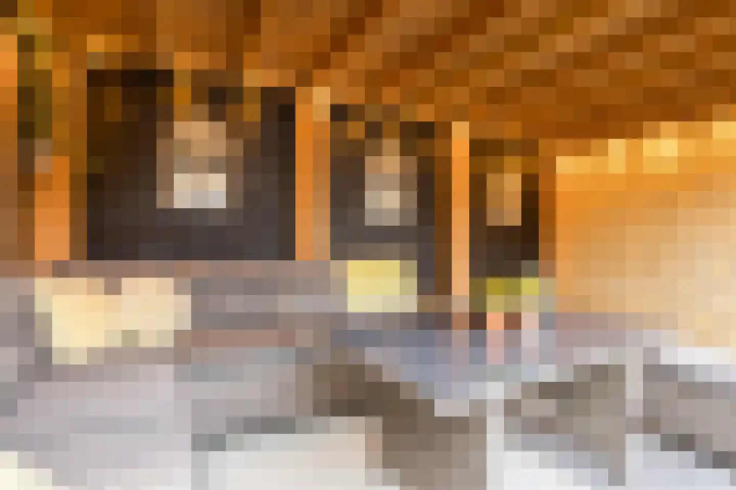 Stralsundstraat 13 Zwolle thumbnail 43