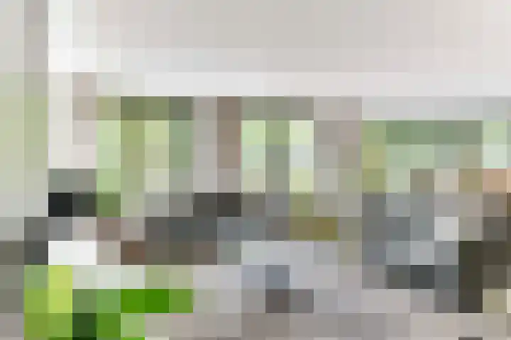 Strammerboogh 35 Akersloot thumbnail 15