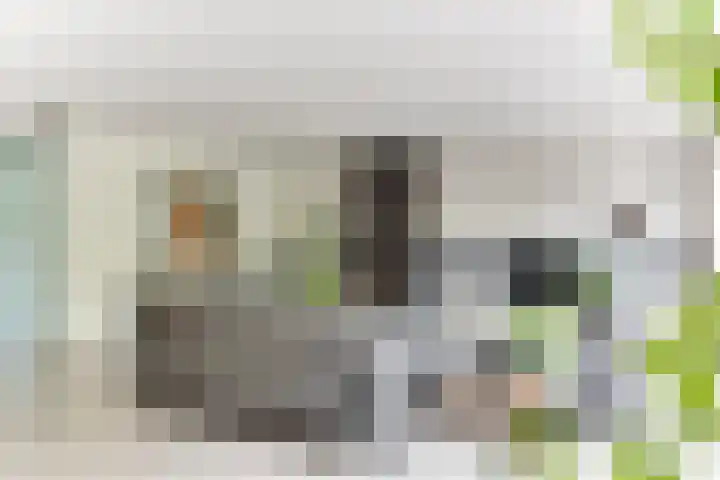 Strammerboogh 35 Akersloot thumbnail 16