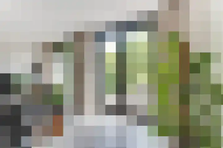 Strammerboogh 35 Akersloot thumbnail 17