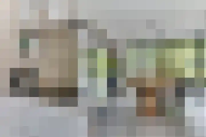 Strammerboogh 35 Akersloot thumbnail 22