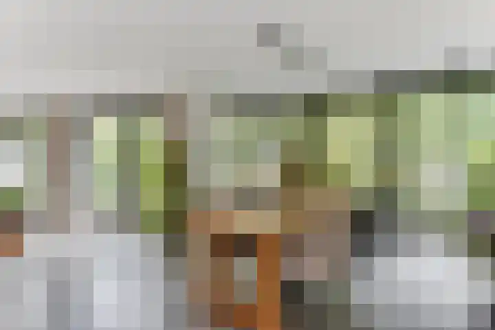 Strammerboogh 35 Akersloot thumbnail 23