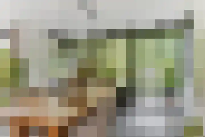 Strammerboogh 35 Akersloot thumbnail 25