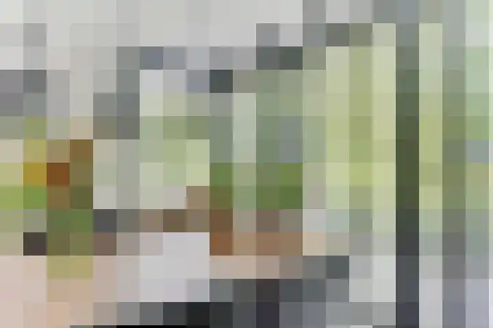 Strammerboogh 35 Akersloot thumbnail 26