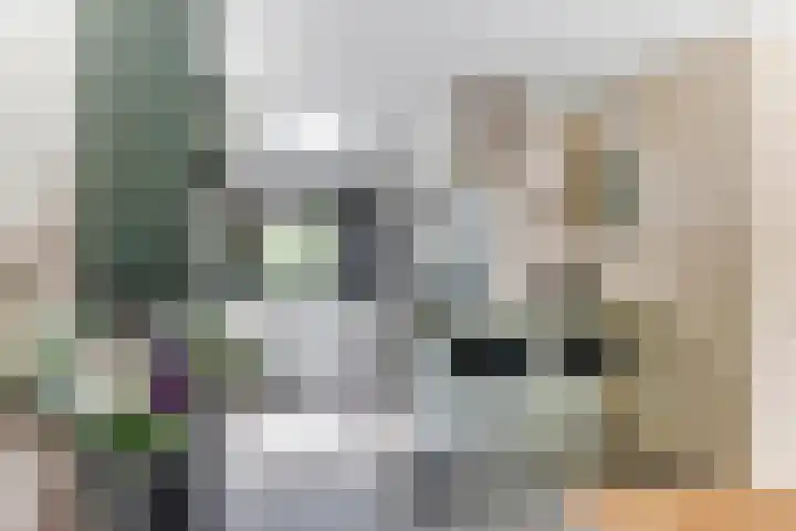 Strammerboogh 35 Akersloot thumbnail 29
