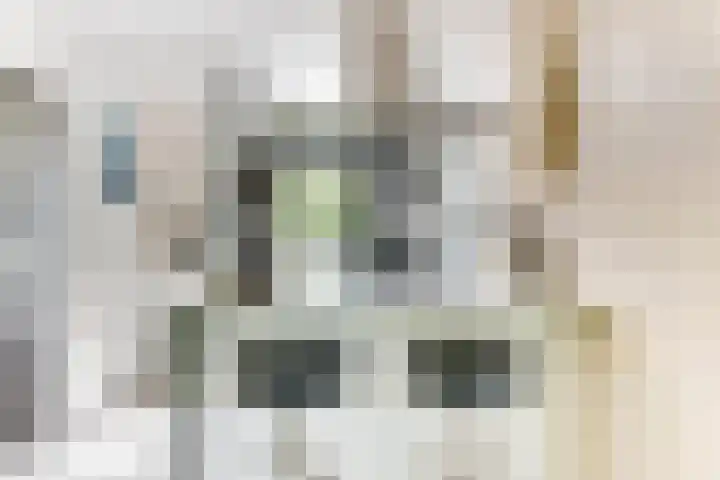 Strammerboogh 35 Akersloot thumbnail 30