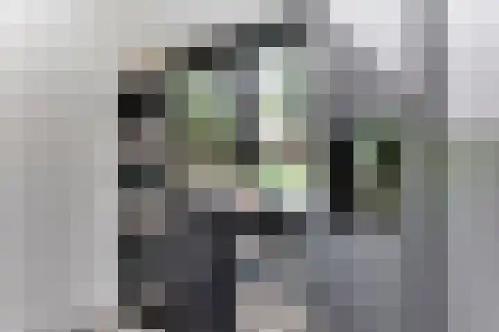 Strammerboogh 35 Akersloot thumbnail 34