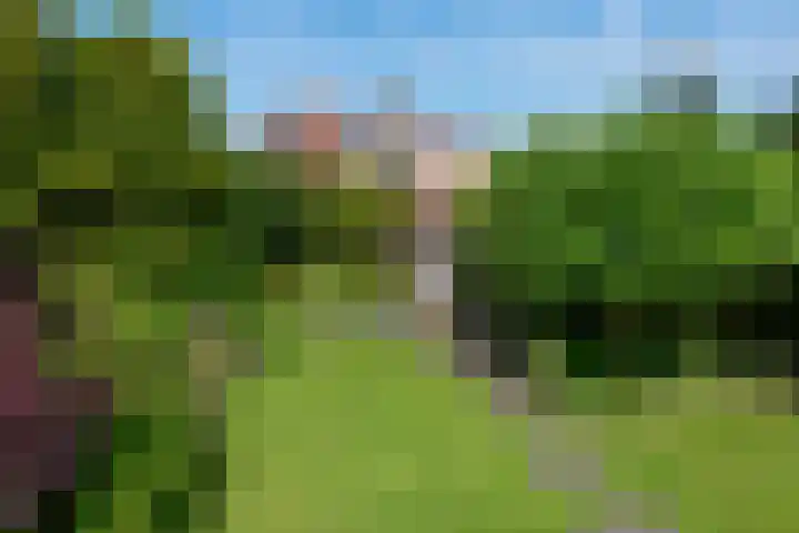 Strammerboogh 35 Akersloot thumbnail 4