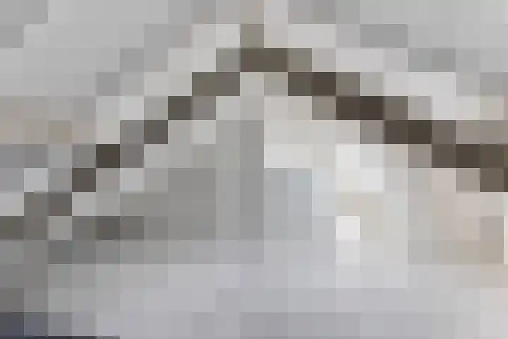 Strammerboogh 35 Akersloot thumbnail 49