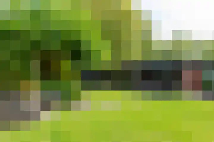 Strammerboogh 35 Akersloot thumbnail 50