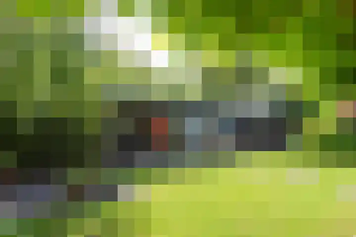 Strammerboogh 35 Akersloot thumbnail 51