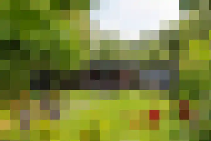 Strammerboogh 35 Akersloot thumbnail 52
