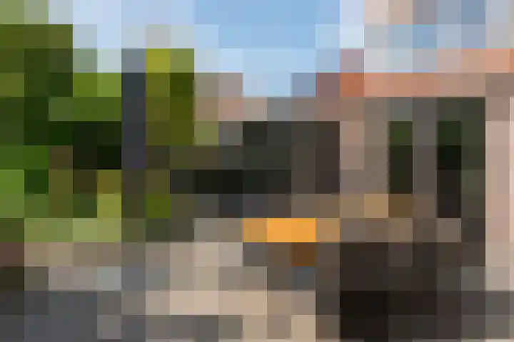 Strammerboogh 35 Akersloot thumbnail 56