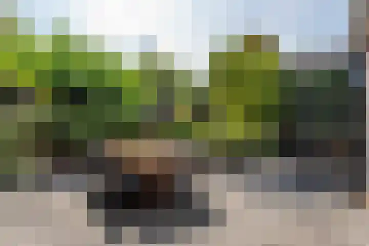 Strammerboogh 35 Akersloot thumbnail 57
