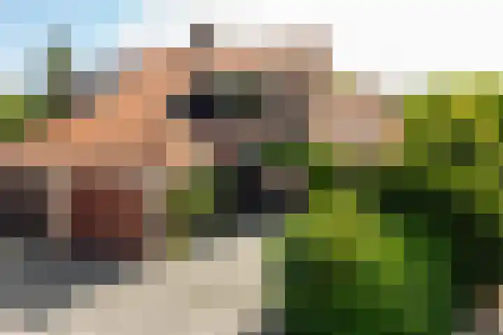 Strammerboogh 35 Akersloot thumbnail 6