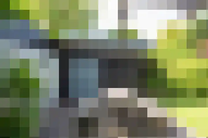 Strammerboogh 35 Akersloot thumbnail 62