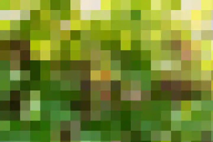 Strammerboogh 35 Akersloot thumbnail 64