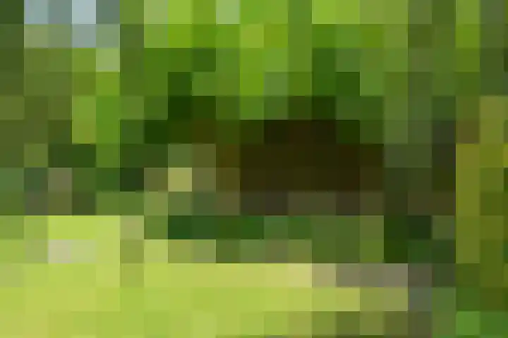 Strammerboogh 35 Akersloot thumbnail 65