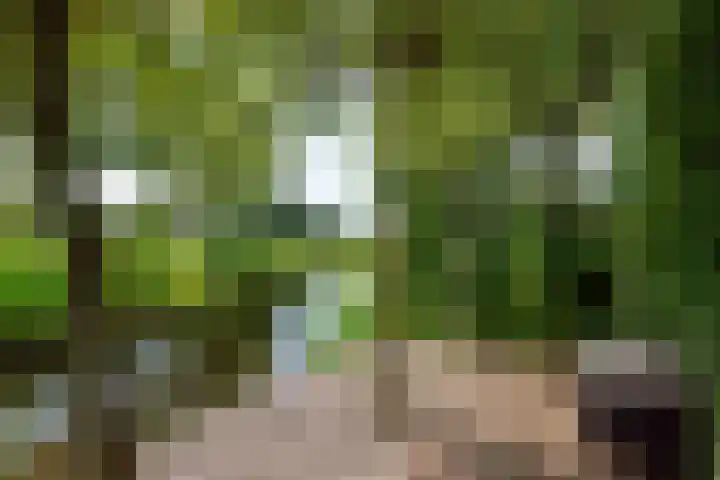 Strammerboogh 35 Akersloot thumbnail 66