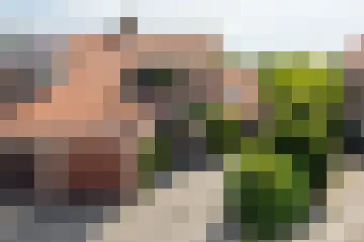 Strammerboogh 35 Akersloot thumbnail 7