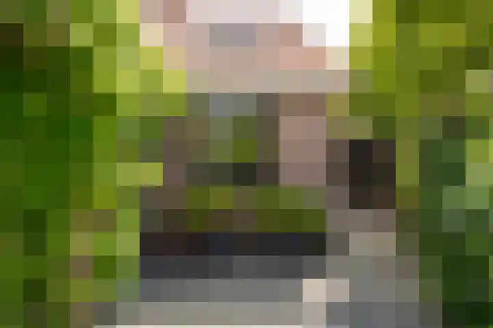Strammerboogh 35 Akersloot thumbnail 9