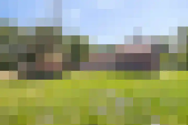 Stramproyergrensweg 60 Weert thumbnail 20