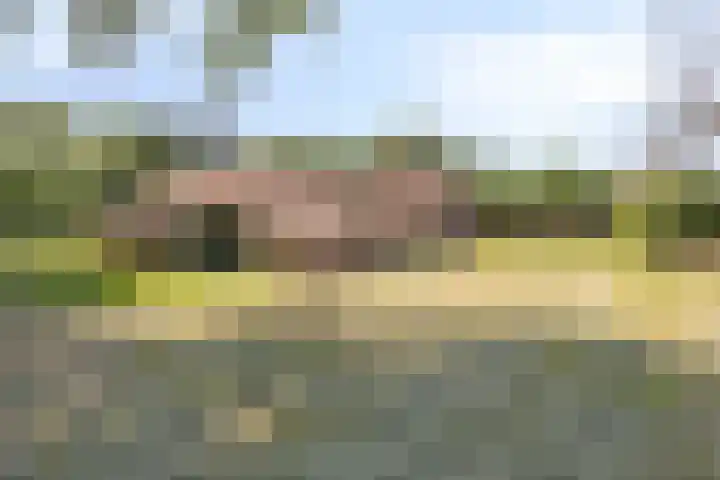 Stramproyergrensweg 60 Weert thumbnail 24