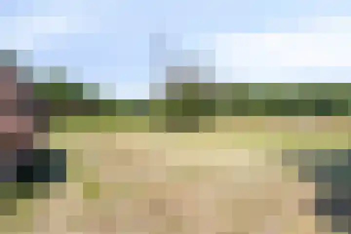 Stramproyergrensweg 60 Weert thumbnail 25