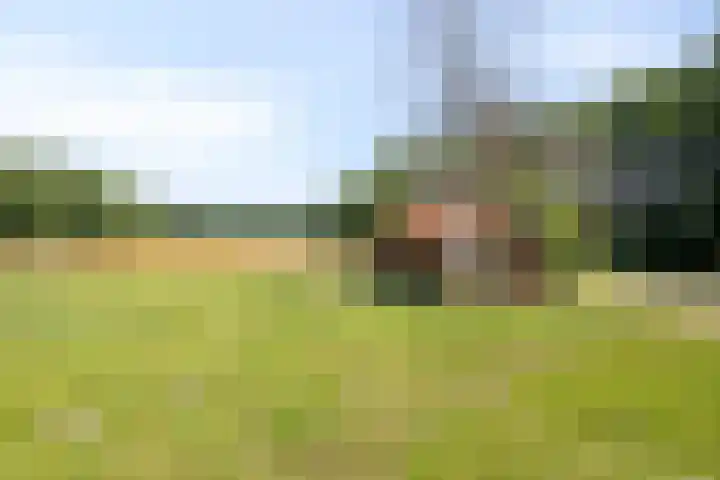 Stramproyergrensweg 60 Weert thumbnail 27