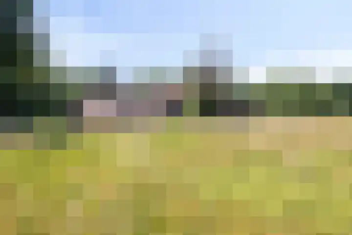 Stramproyergrensweg 60 Weert thumbnail 28