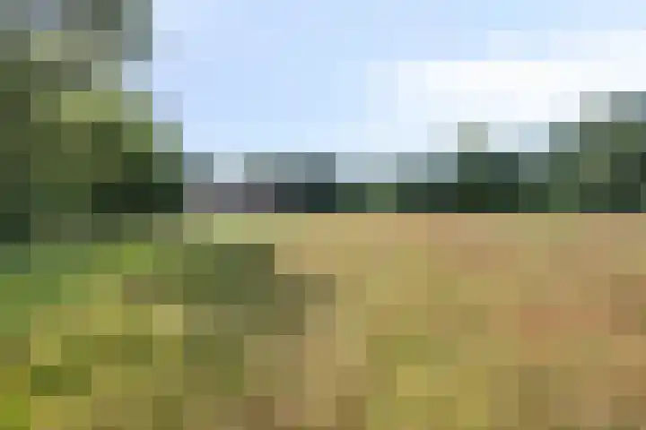 Stramproyergrensweg 60 Weert thumbnail 29