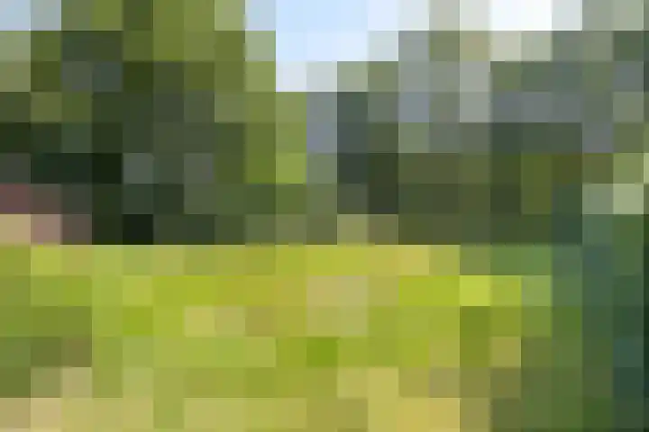 Stramproyergrensweg 60 Weert thumbnail 30