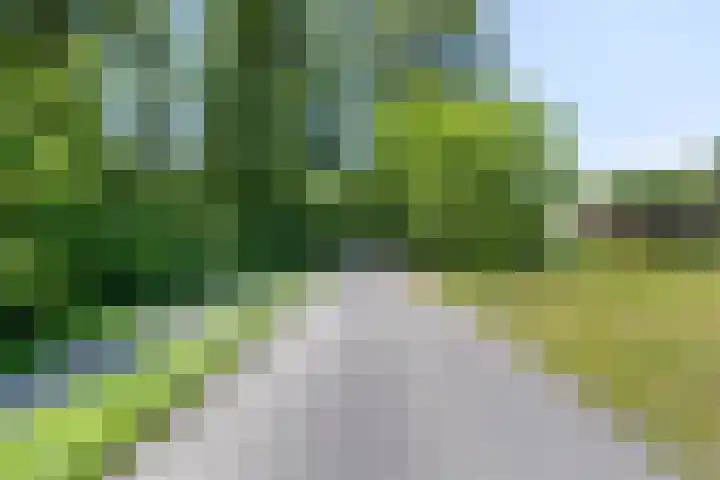 Stramproyergrensweg 60 Weert thumbnail 31