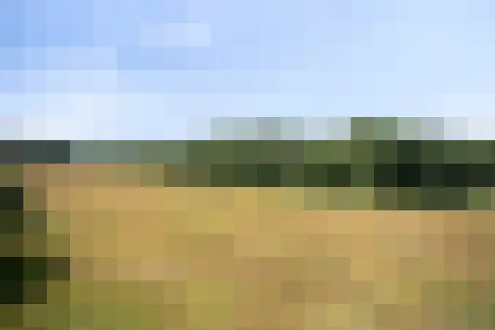 Stramproyergrensweg 60 Weert thumbnail 33