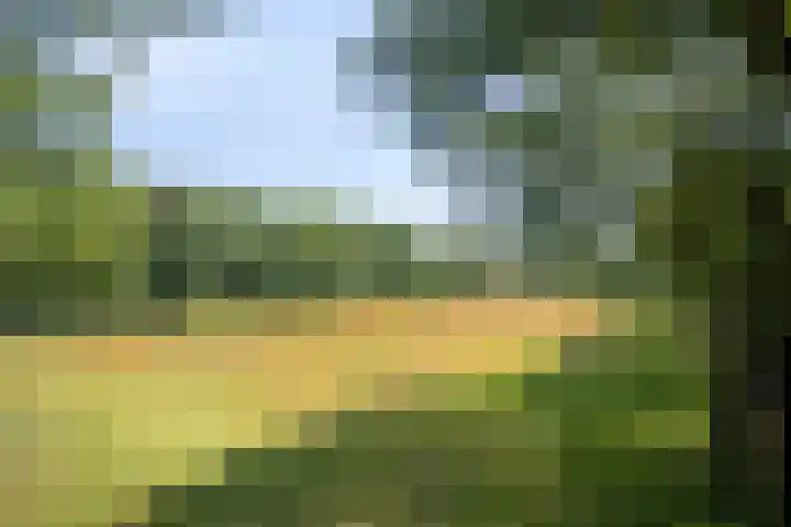 Stramproyergrensweg 60 Weert thumbnail 34