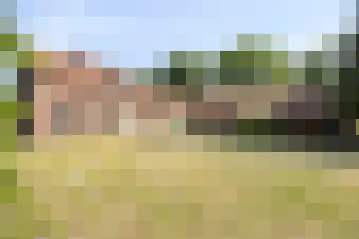 Stramproyergrensweg 60 Weert thumbnail 4