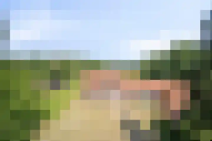 Stramproyergrensweg 60 Weert thumbnail 42