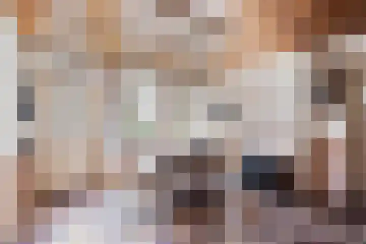 Stramproyergrensweg 60 Weert thumbnail 8