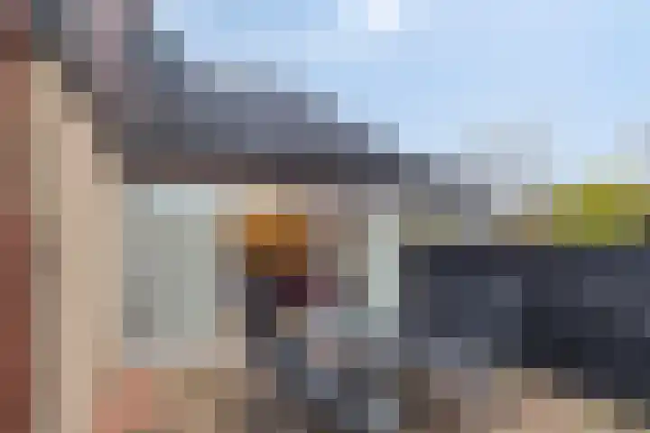 Strand 11 Zoutelande thumbnail 15