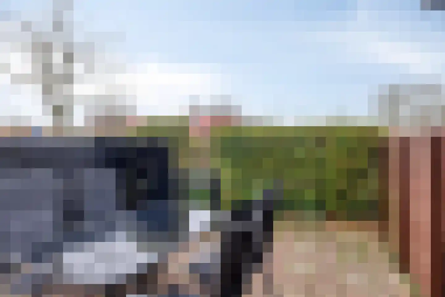 Strand 11 Zoutelande thumbnail 17