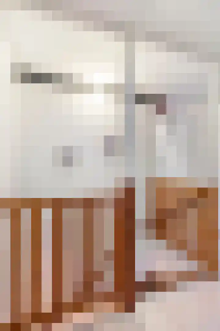 Strand 11 Zoutelande thumbnail 18