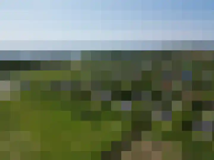 Strand 11 Zoutelande thumbnail 27