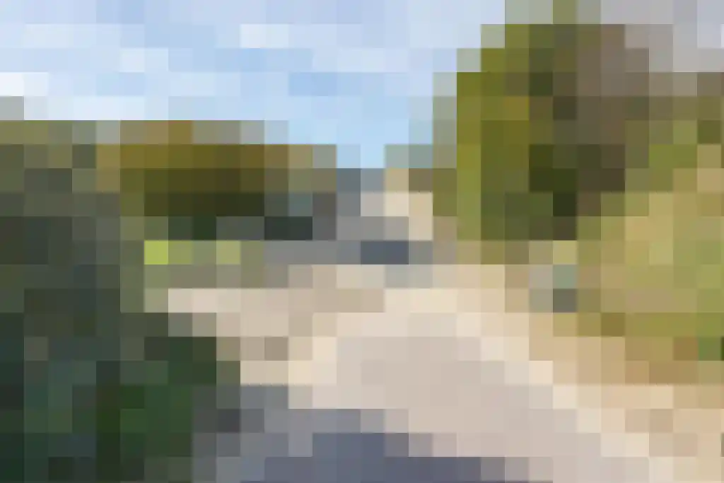 Strand 11 Zoutelande thumbnail 32